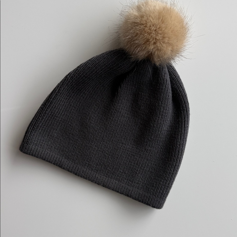 Aritzia Snow Day Beanie